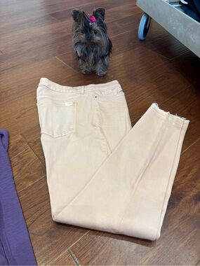 Ankle Skinny Jeans in light Tan